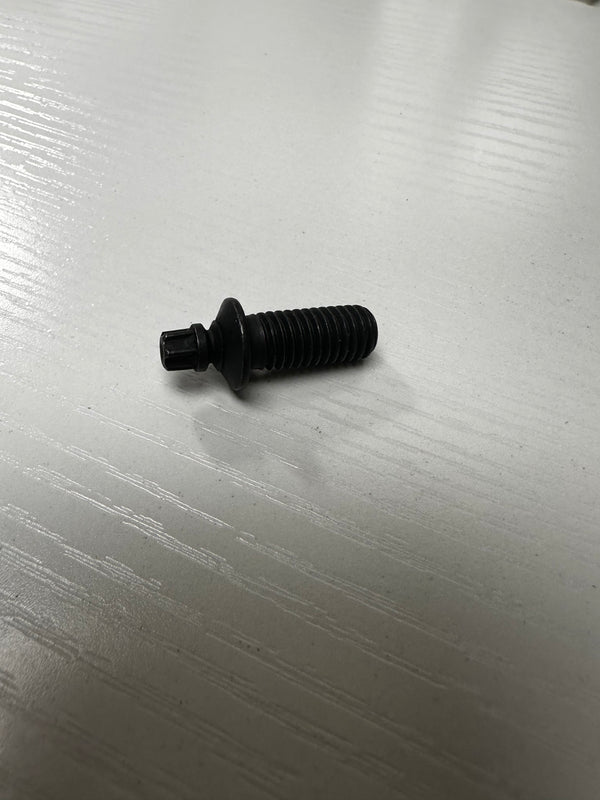 BMW Lock Housing Bolt 32 31 1 157 967